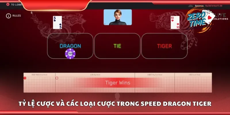 Khám phá tỷ lệ cược và các loại cược trong Speed Dragon Tiger