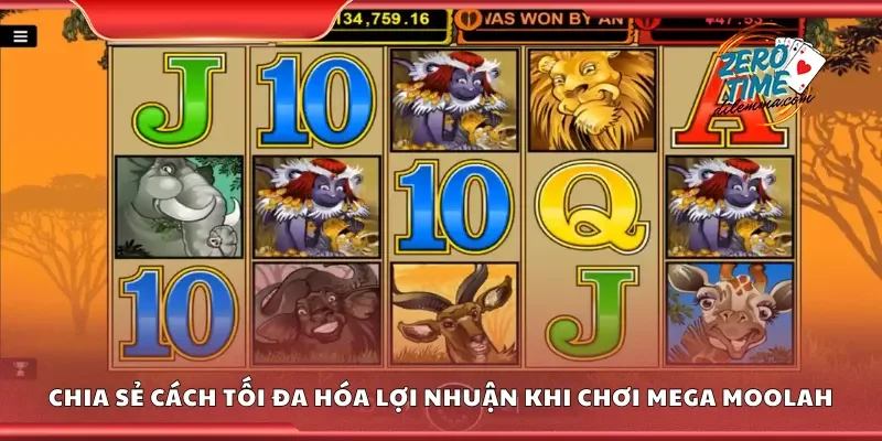 Chia sẻ cách tối đa hóa lợi nhuận khi chơi mega moolah